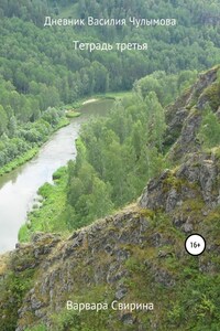 Дневник Василия Чулымова. Тетрадь третья