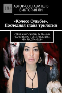 Колесо Судьбы. Последняя глава трилогии. Серия книг «Жизнь за гранью реальности» и «Смерть ближе, чем ты думаешь»