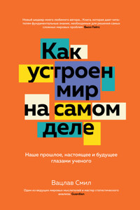 Как устроен мир на самом деле. Наше прошлое, настоящее и будущее глазами ученого