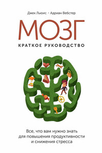 Мозг: краткое руководство. Все, что вам нужно знать для повышения эффективности и снижения стресса