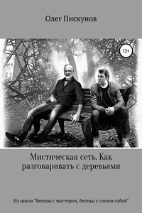 Мистическая сеть. Как разговаривать с деревьями. Из цикла «Беседы с Мастером, беседы с самим собой»