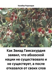 Как Звиад Гамсахурдия заявил, что абхазской нации не существовало и не существует, а после отказался от своих слов