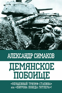 Демянское побоище. «Упущенный триумф Сталина» или «пиррова победа Гитлера»?