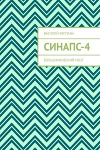 Синапс-4. Больцмановский мозг