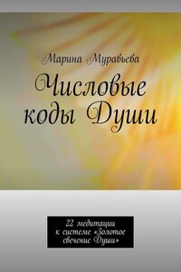 Числовые коды Души. 22 медитации к системе «Золотое свечение Души»