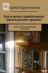 Как я начал зарабатывать писательским трудом? Книга для начинающих авторов