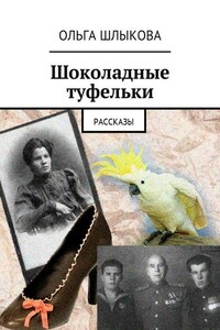 Шоколадные туфельки. Рассказы