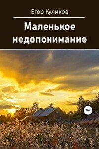 Маленькое недопонимание