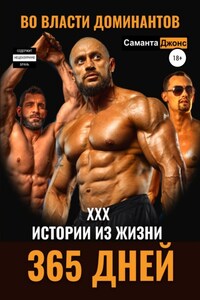 365 дней. Во власти доминантов. XXX истории из жизни