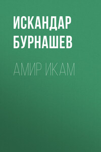 Амир Икам