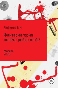 Фантасмагория полёта рейса mh17