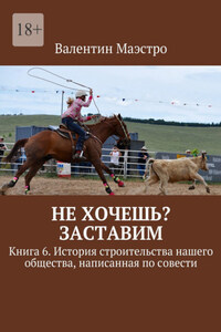 Не хочешь? Заставим. Книга 6. История строительства нашего общества, написанная по совести