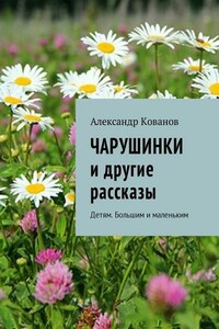 Чарушинки и другие рассказы. Детям. Большим и маленьким