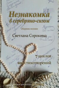 Незнакомка в серебряно-сизом