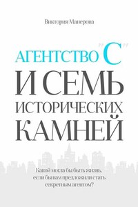 Агентство «С» и семь исторических камней