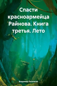 Спасти красноармейца Райнова. Книга третья. Лето